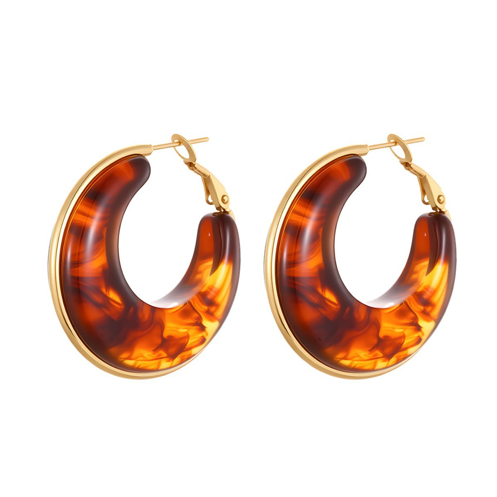 4 Brown Earrings Stainless Steel Round Earrings