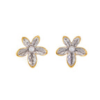 Gold And Silver Color-blocked Peanut-shaped Earrings Titanium Steel Irregular Earrings