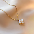 Black Titanium Steel Rotating Bauhinia Zircon Necklace