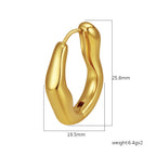 Steel Stainless Steel Irregular Earrings