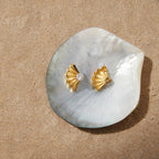 Gold Sparkling Zircon Titanium Steel Stud Earrings