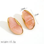 Brown Stainless Steel Irregular Resin Earrings